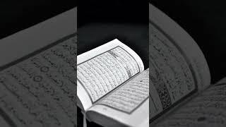 Most Beautiful Recitation of Surah An-Nasr by Mishary Rashid Alafasy  LoveTheQuran