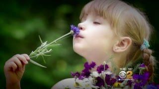Seen At 11 Loss Of Sense Of Smell Could Carry Dangerous Consequences