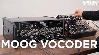 Moog 16 Channel Analog Vocoder With More Than Just Vocals