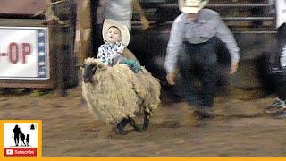 Mutton Bustin - 2023 Wellington Pro Rodeo  Friday