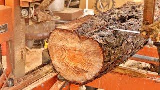 This Log Had FIRE Inside Cateye Pine on the Sawmill 