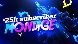 25000 Subscriber Montage