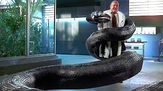 TODAS las MEJORES escenas de Anaconda 3 La amenaza  Película de la serpiente gigante  4K