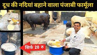 मात्र ₹20 में बनाएं दूध डबल करने वाली खुराकMilk Increase formula in Dairy Farm Feed Mangement