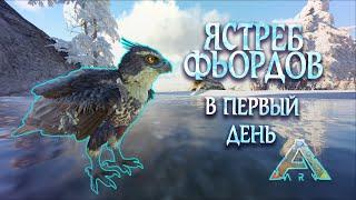 ЯСТРЕБ ЗА МИНУТУ   как притамить топового без проблем в первый день