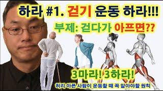 하라 #1 걷기 운동 하라  부제 걷다가 아프면??