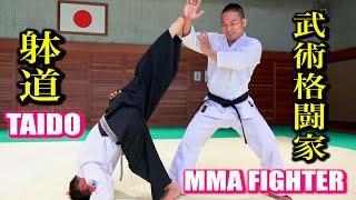 MMA vs TAIDO How to fight? With various subtitles.