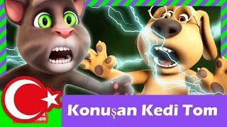 Konuşan Kedi Tom ve Arkadaşları  Çizgi Film Türkçe izle 1  Sezon 5 bolüm