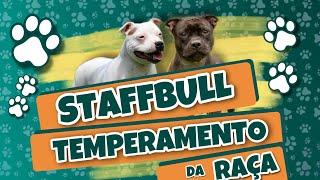 STAFFBULL - TEMPERAMENTO DA RAÇA Como se comportam? São amigáveis? Brigam muito? E mais