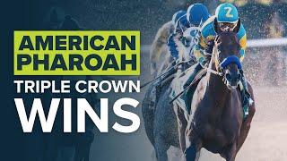 The 37-Year Wait Is Over  American Pharoah Is The 12th Triple Crown Winner  2015 Kentucky Derby