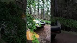 lifted subaru forester takes on jeep trail 3 wheeling overland