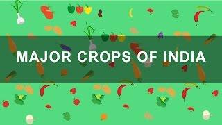 Major Crops of India - Rabi Kharif Zaid crops  Indian Agriculture Geography