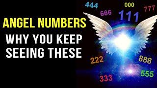 Angel Numbers and Their Meanings 111 333 444 & More Decoded Why You Keep Seeing These Numbers