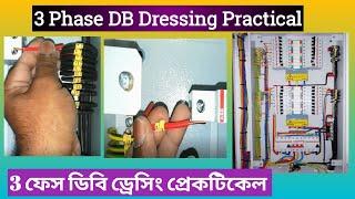 DB Dressing In Dubai Qatar Saudi  3 Phase Electrical DB Dressing Bangla