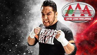 HOMENAJE HIJO DEL PERRO AGUAYO en SAN LUIS  Lucha Libre AAA