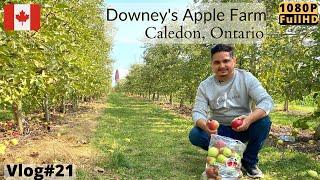 A Trip to Downeys Apple Farm  Caledon  Brampton  Canada Vlog 21  1080p