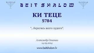 КИ ТЕЦЕ 5784. ...берегись всего худого. Александр Огиенко 14.09.2024