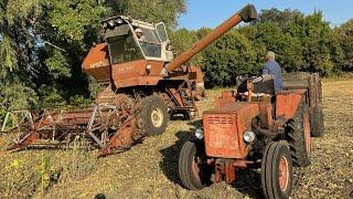 Фермер не ВИТРИМАВ️Розпродаж ТЕХНІКИ️НИВА СК-5М-1 сівалка John Deere МТЗ жнива сої 2024