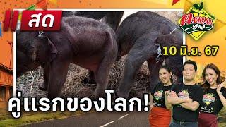 Live  ตะลอนข่าว 10 มิ.ย. 67  ThairathTV