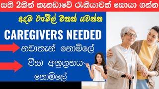 Canada Job Vacancy 2023 Sri Lanka  Find a Care Giver Job in Canada with Free Visa Sponsorship සිංහල