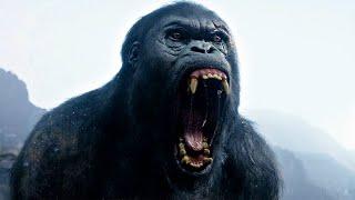Tarzan vs Mbonga - Fight Scene - The Legend of Tarzan 2016 Movie Clip HD