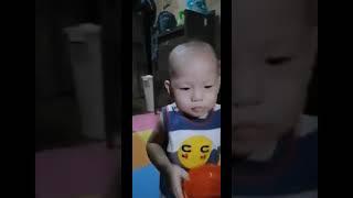 Baby dyland compilation