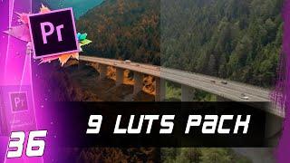 PACK DE 9 LUTS GRATIS  Cap 36  Curso Adobe Premiere Pro CC