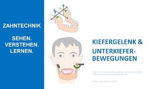 Kiefergelenk & Unterkieferbewegungen