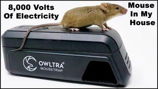 8000 Volts Of Electricity End A Mouse Home Invasion. The OWLTRA Infrared Trap.  Mousetrap Monday