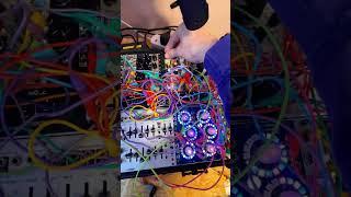 Ravestabolution #livemodular #modularsynth