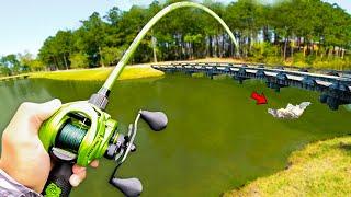 Fishing for GIANT Bass in SMALL Ponds Bed Fishing