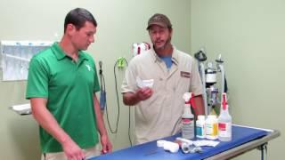 Hunting Dog First Aid Tips
