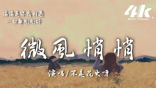 不是花火呀 - 微風悄悄『為何偏偏是我們遇到，連風的溫度都剛好。』【高音質動態歌詞Lyrics】