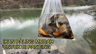 Mancing Ikan Hama Di Spot Mancing Bekas Tambang Pasir