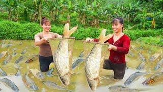 Harvest A Lot Of Big Fish Goes To Market Sell - Take Care Vegetable  Tiểu Vân Daily Life