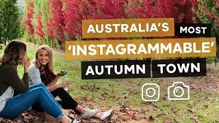 Australias Most Instagrammable Autumn Town - Bright Victoria