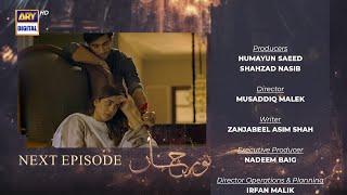 Noor Jahan Episode 14  Teaser  ARY Digital