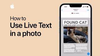 How to use Live Text in a photo on iPhone and iPad  Apple Support