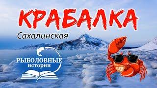 Как поймать и приготовить колючего крабаHow to catch and cook a  crab