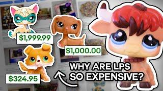 LPS prices are out of control.  Littlest Pet Shop +2024 Reboot News?