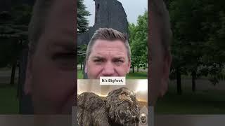 Bigfoot is a BIG deal in this Minnesota community #shorts