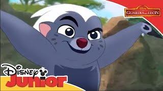 La Guardia del León ¡Es Imbungasionante - Compilado 1  Disney Junior Oficial