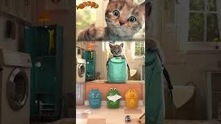 LITTLE KITTEN ADVENTURE - CARTOON CAT AND FUNNY KITTEN #shorts