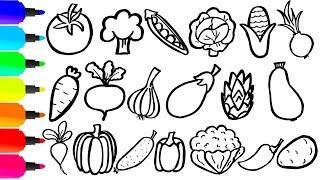 Coloring 20 vegetables  Painting for toddlers and drawing for kids  Learn 20 vegetables