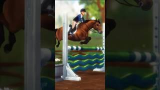 The Belgian Warmblood  #starstableonline #sso