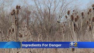 Red Flag Warning for Wildfires in Illinois