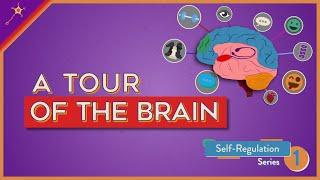 A Tour of the Brain  Self-Regulation Lesson 1