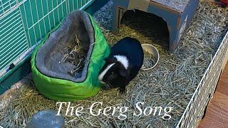 The Gerg Song