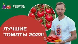 Лучшие томаты 2023 Подводим итоги сезона. Как и когда прищипывать томаты.