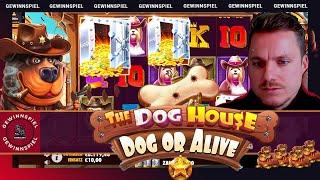 ️ GEWINNSPIEL ️  Dog House Dog Or Alive   Freegames High Stakes   Casino Highlights